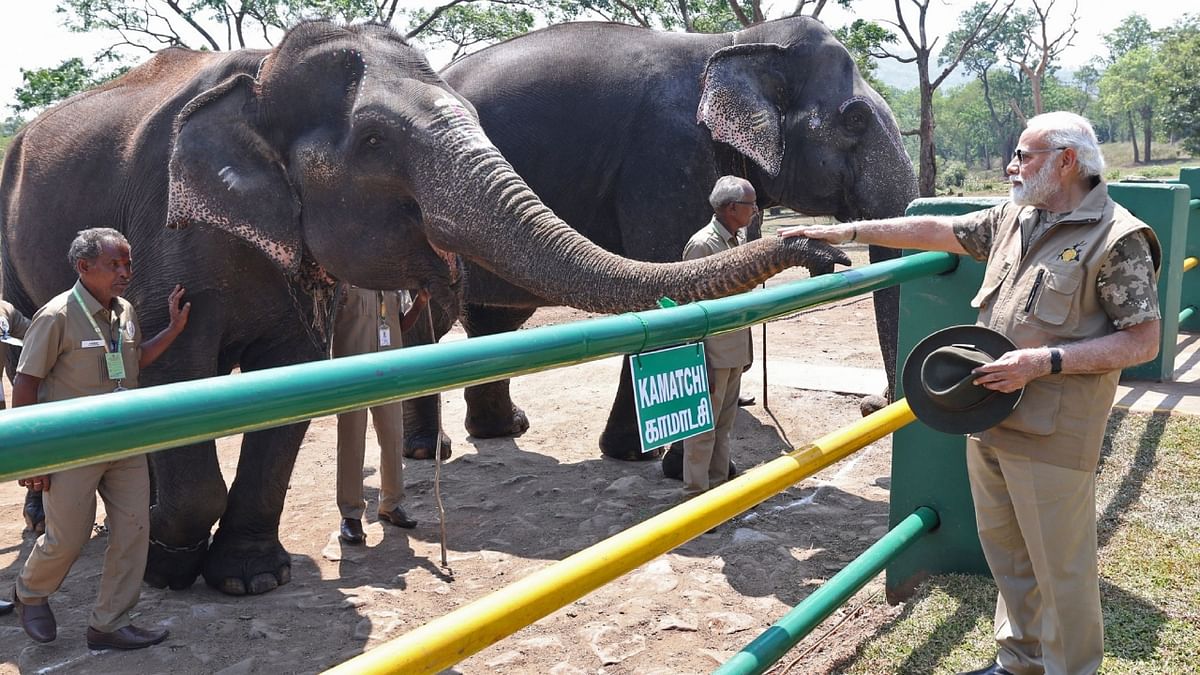 Prime Minister Narendra Modi visited the Theppakadu Elephant Camp at Mudumalai in the hilly Nilgiris district on April 9. Credit: PIB