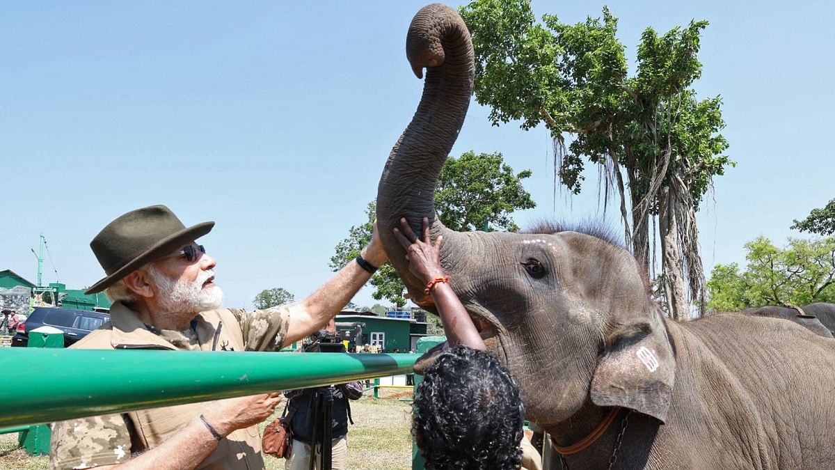 Prime Minister Narendra Modi caressing an elephant at Nilgiri Theppakadu Elephant Camp during his visit to Mudumalai Tiger Reserve in Tamil Nadu. Credit: PIB