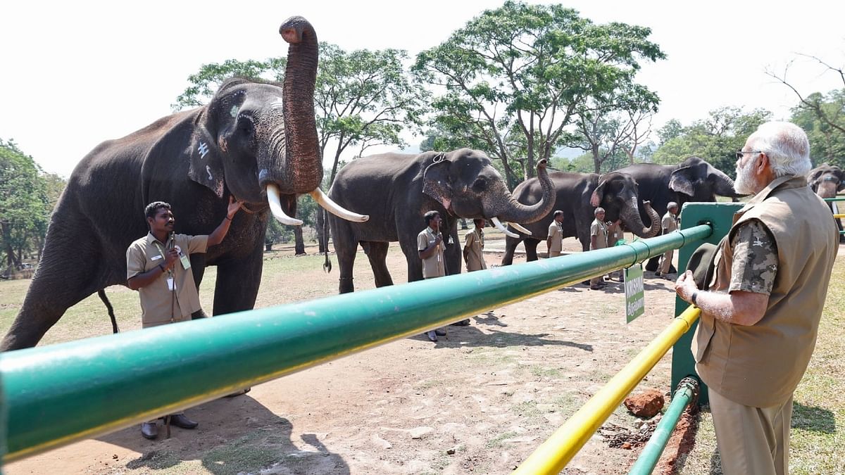 The PM also expressed delight over meeting the elephant caretaker couple. Credit: PIB