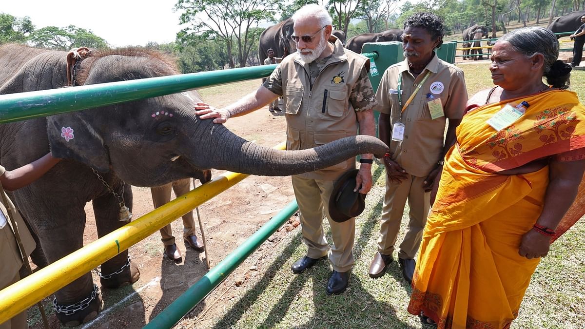 'The Elephant Whisperers' couple Bellie and Bomman expressed their happiness on meeting Prime Minister Narendra Modi at the camp and said that receiving recognition from him inspires them. Credit: PIB
