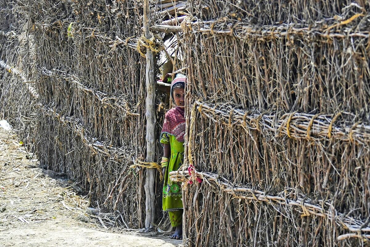 A girl peeks from her house in Sanjar Chang village, Mirpurkhas district in Sindh province. Credit: AFP