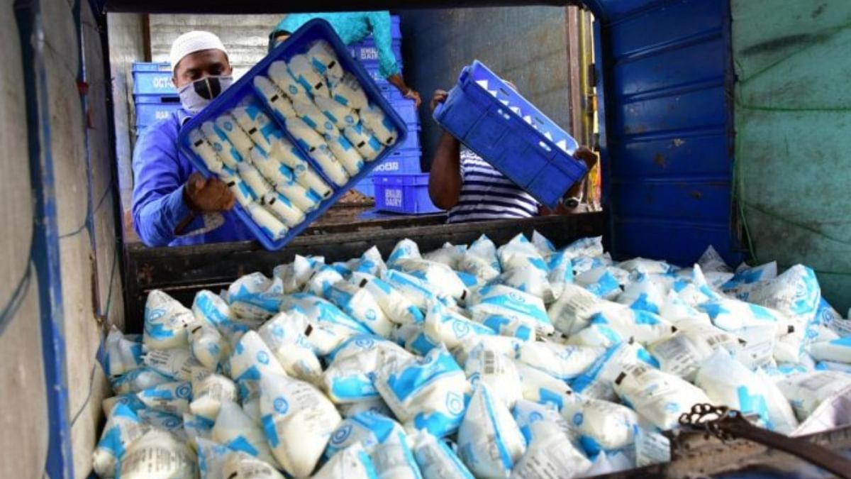 For 2021-2022, the national per capita availability of milk was recorded at 444 gram per day, a 17 per cent increase over the previous year. Credit: DH File Photo