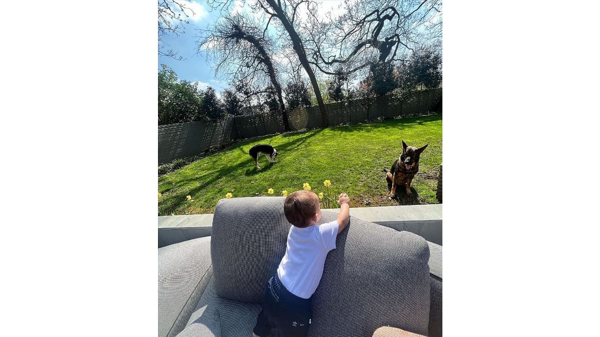 Malti plays with her pet in the backyard of her house in this sun-kissed picture. Credit: Instagram/@priyankachopra