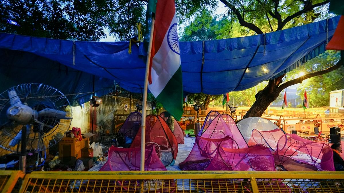 Wrestlers rest under mosquito nets following a night-stay at Jantar Mantar amid their protest, in New Delhi. Credit: PTI Photo