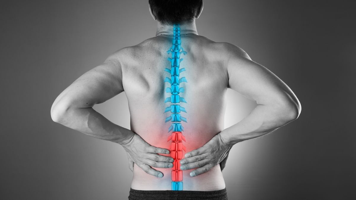 Explained | What is cognitive functional therapy? How can it reduce lower back pain and get you moving?