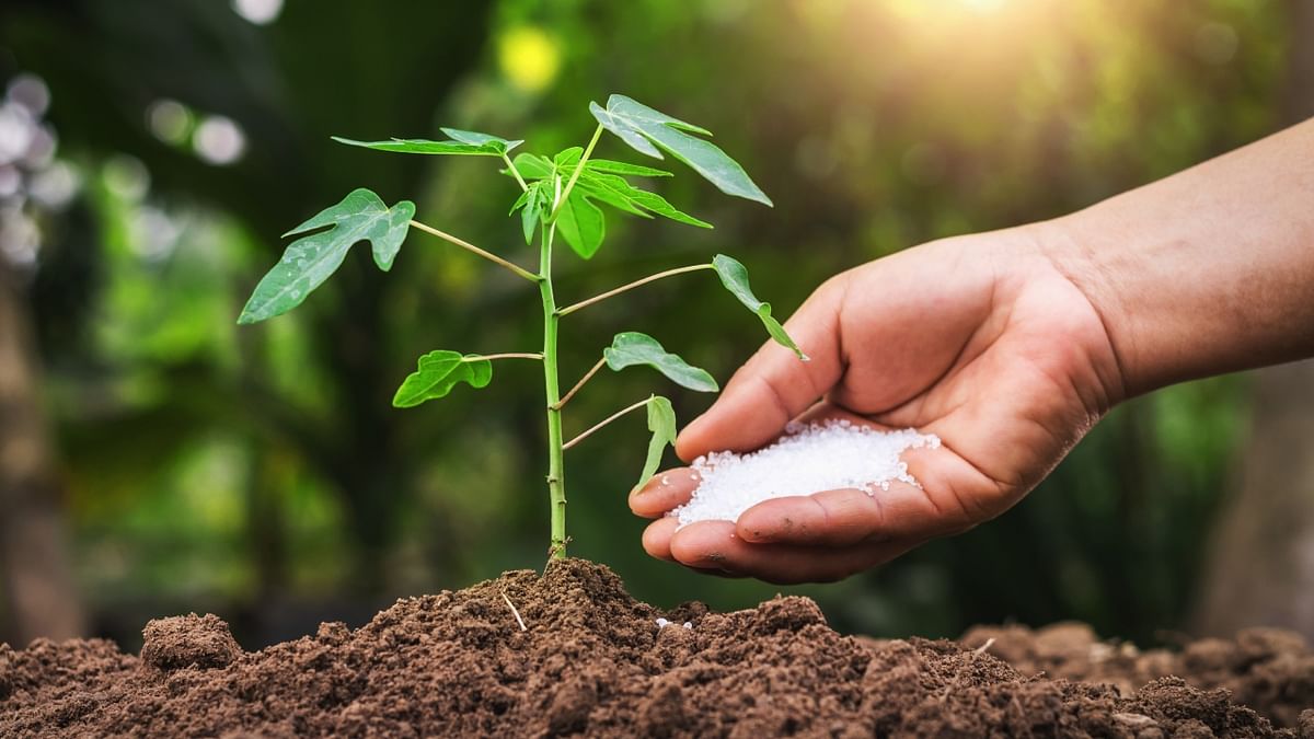 Plant more and more trees. Trees are essential for combating climate change as it provides oxygen. Plant trees in your community or actively participate in tree-planting initiatives. Credit: Getty Images