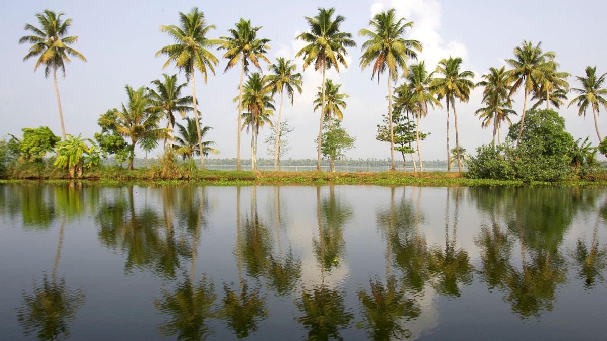 Alleppey, Kerala: Alleppey, also called Alappuzha, is famous for its backwaters and houseboat cruises. The monsoon season adds a romantic charm to the serene backwaters, allowing you to enjoy the beauty of Kerala's coastal landscape. Credit: Getty Images