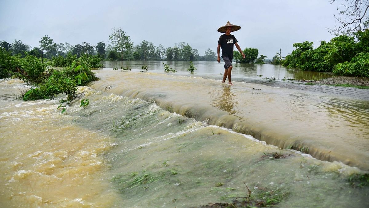 The flood situation in Assam is grim with rivers flowing above the danger level in different parts of the state. Credit: PTI Photo