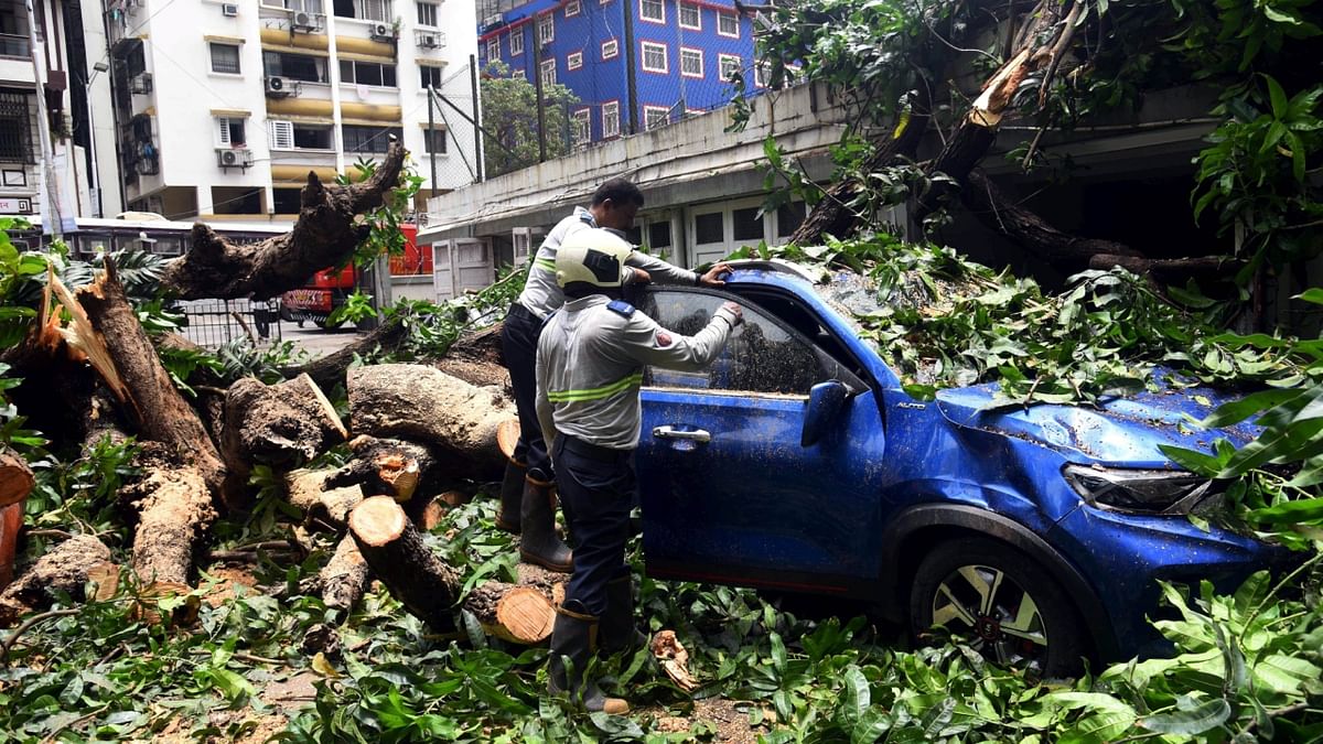 Trees were also uprooted in some areas following the rains. In this photo, people are seen checking a vehicle among many that got damaged after a tree uprooted inside Geetanjali building, in Mumbai. Credit: PTI Photo