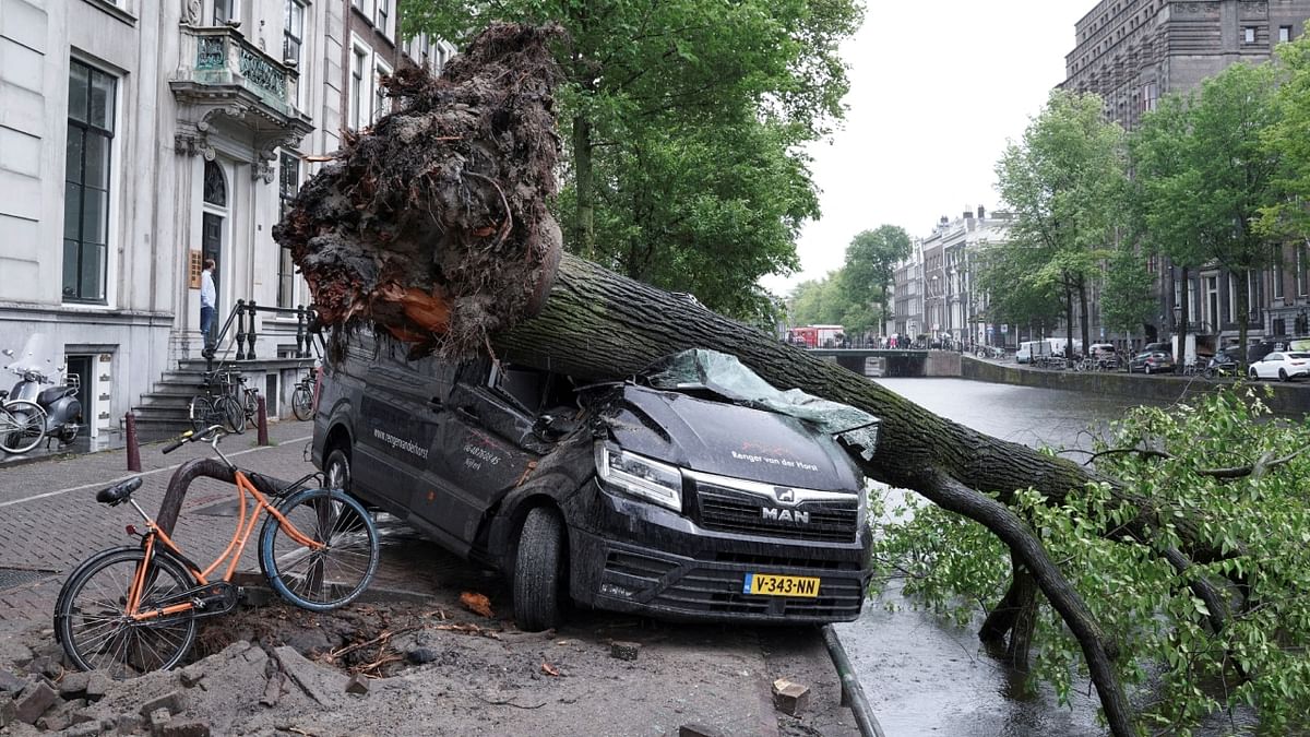 Reportedly, a 51-year-old woman died in Haarlem after a tree fell on the car she was in. Credit: Reuters Photo