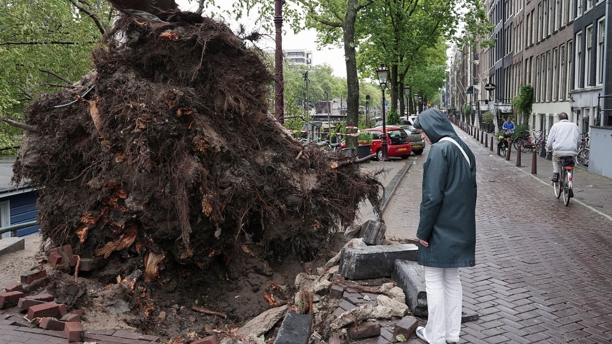 The summer storm caused much damage as trees are heavy with leaves and many of them have become brittle during an unusually long dry spell in May and June. Credit: Reuters Photo