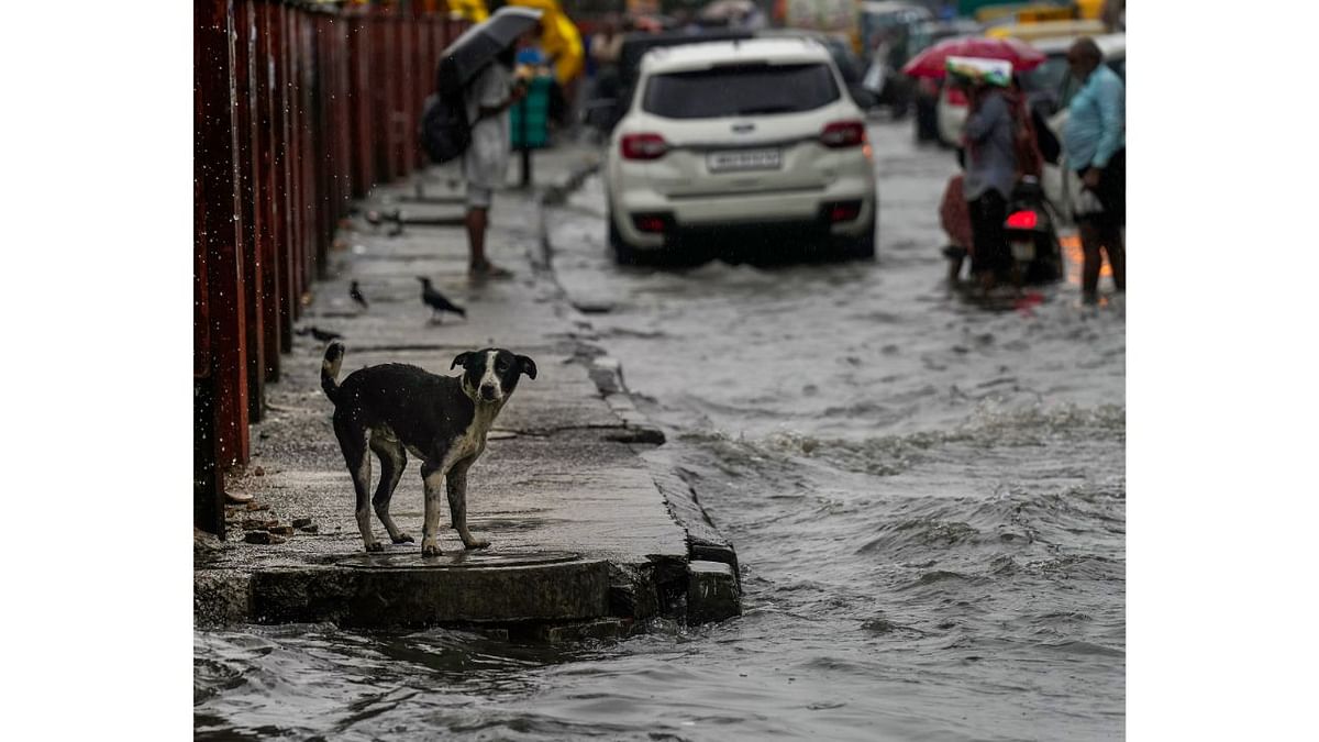 A waterlogged road during monsoon rain near Yamuna Bazar area, in New Delhi. Credit: PTI Photo