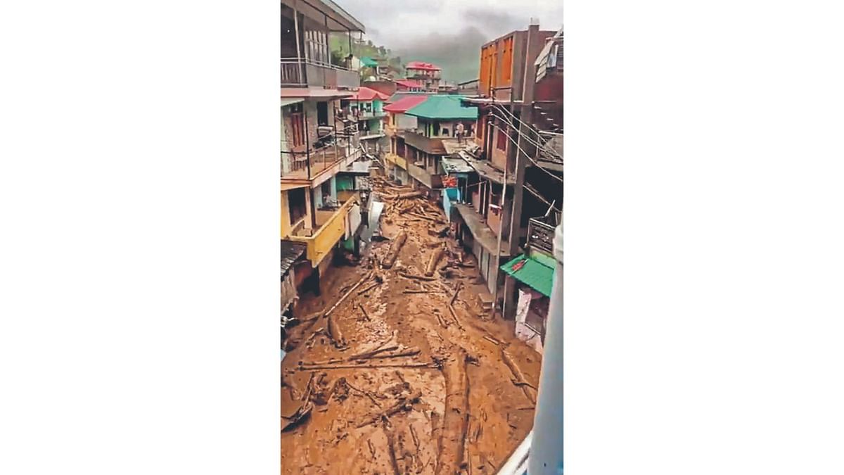 Debris of washed away trees and construction material floats through a street during flash floods following heavy rain at Thunag area in Mandi district. Credit: PTI Photo