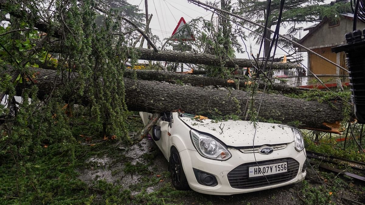 A car damaged after trees fell on it following heavy monsoon rains, in Shimla. Credit: PTI Photo