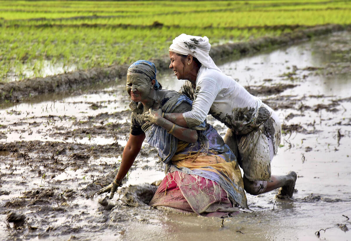 omen plays with mud after the completion of rice sapling planting, at Uttarpara village in Baksa district of Assam.