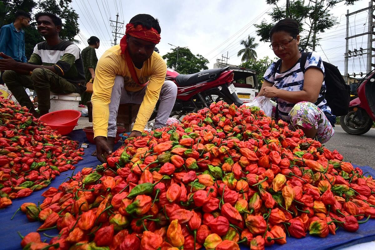 A woman buys Ghost pepper, also known as 'bhut jolokia', at a market in Guwahati, Thursday