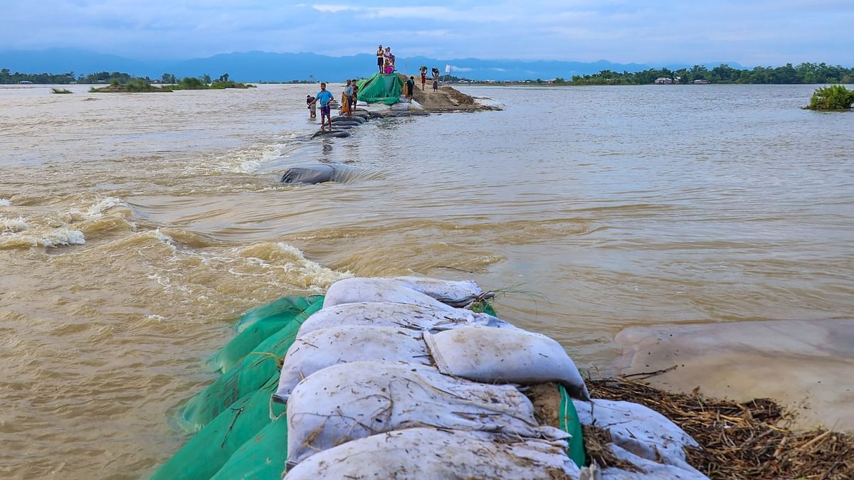 Brahmaputra was flowing above the danger level in Dhubri, Tezpur and Nematighat, while Buridihing and Sankosh were in spate in Golakganj. Credit: PTI Photo