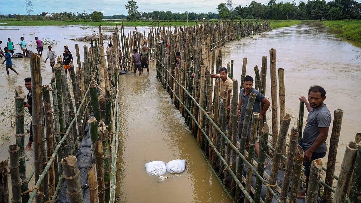 Locals construct an embankment with bamboo and sandbags to prevent flooding during monsoon season, at Gohpur in Biswanath district, Assam. Credit: PTI Photo