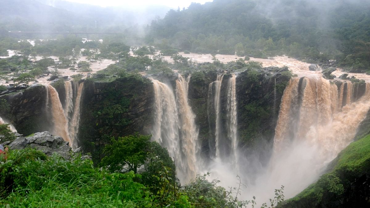 Jog Falls is one of the highest waterfalls in India and offers a breathtaking sight during the rainy season. The Falls split into four distinct cascades, creating a mesmerising natural wonder. Credit: DH Photo/SK Dinesh
