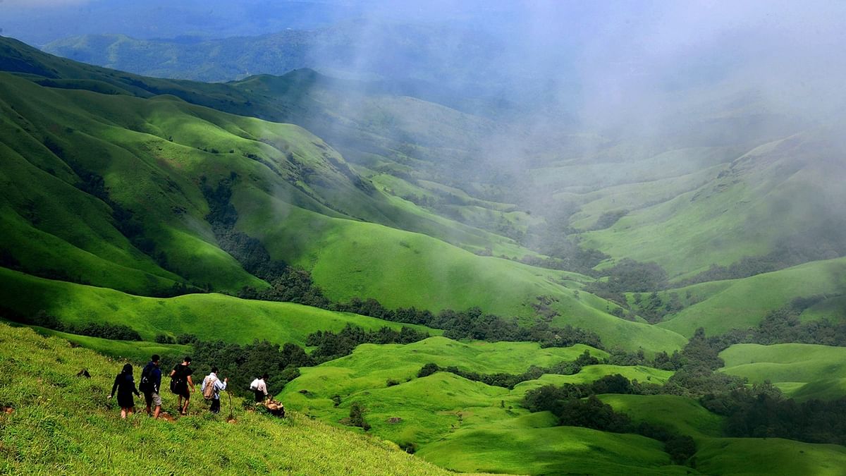 During the monsoon, the Kudremukh National Park transforms into a green paradise. You can trek to the Kudremukh peak that offers stunning views bringing you closer to mother nature. Credit: DH Pool Photo