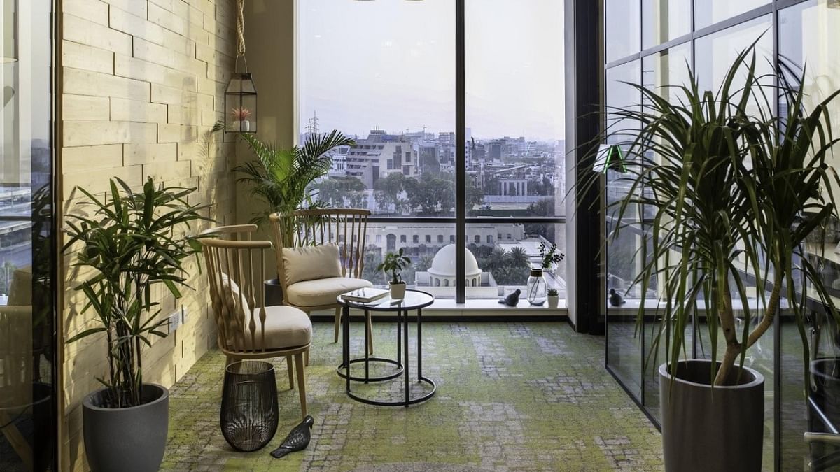 Air-purifying plants bring the outdoors into the workplace. Credit: SpaceMatrix