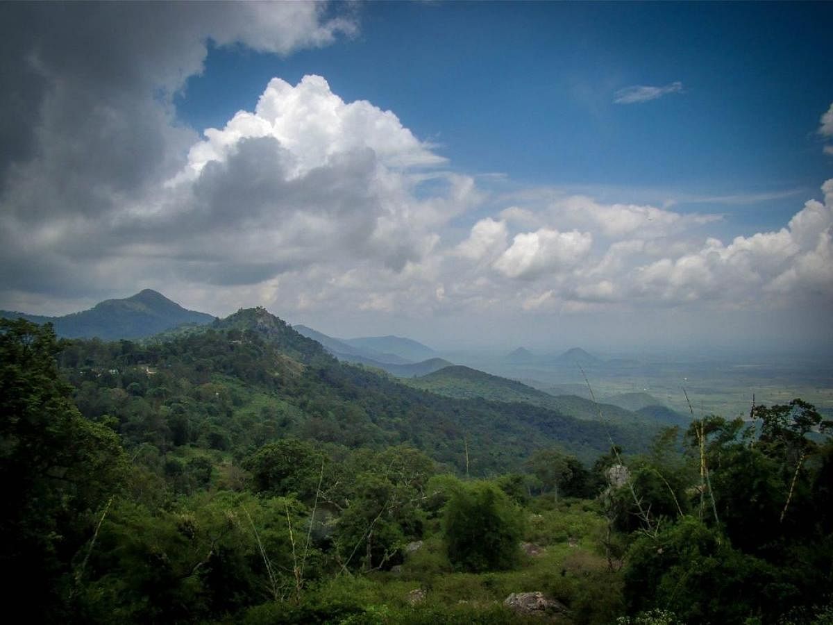 A view of BR Hills in Chamarajanagar district. 
