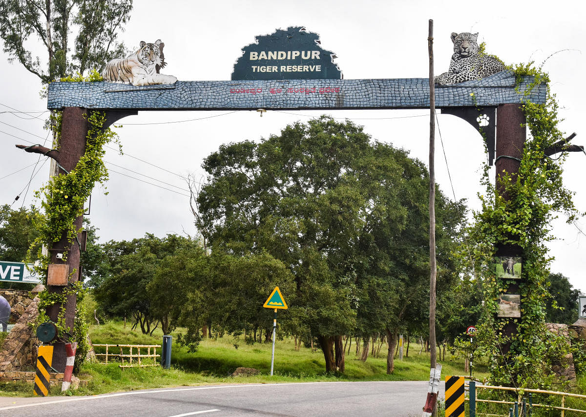 The entrance of Bandipur Tiger Reserve in Chamarajanagar district. DH Photo/S K Dinesh