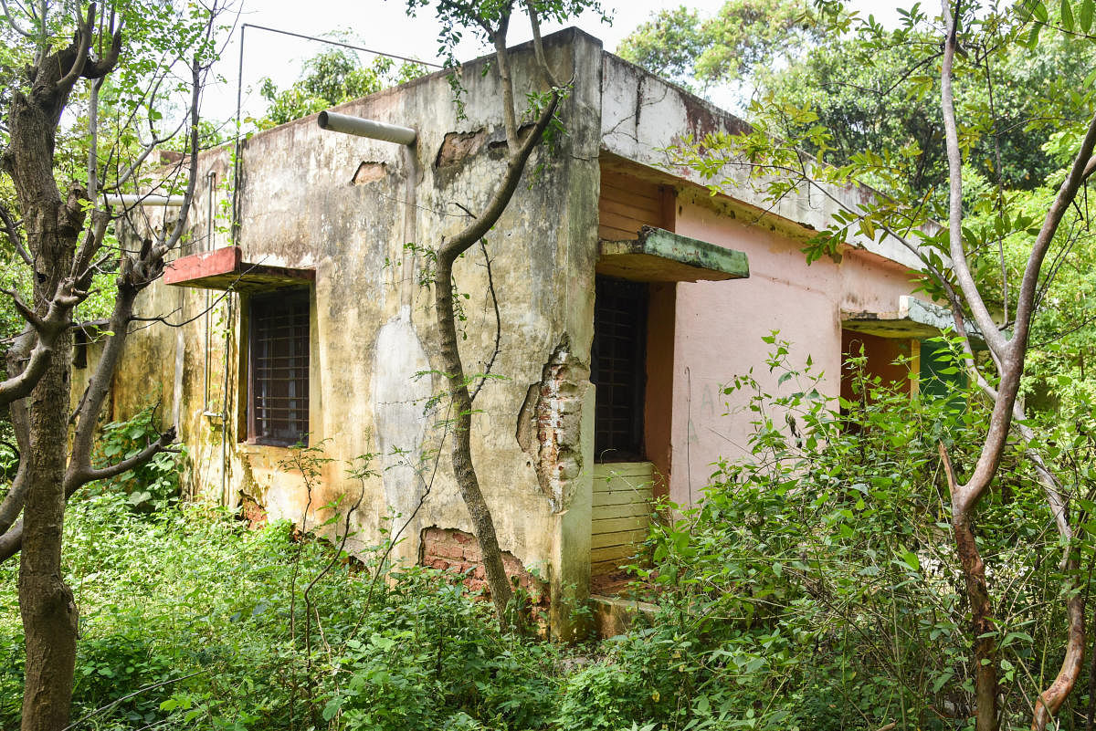The poor state of the staff quarters in Bangalore University, Jnana Bharathi campus in Bengaluru.