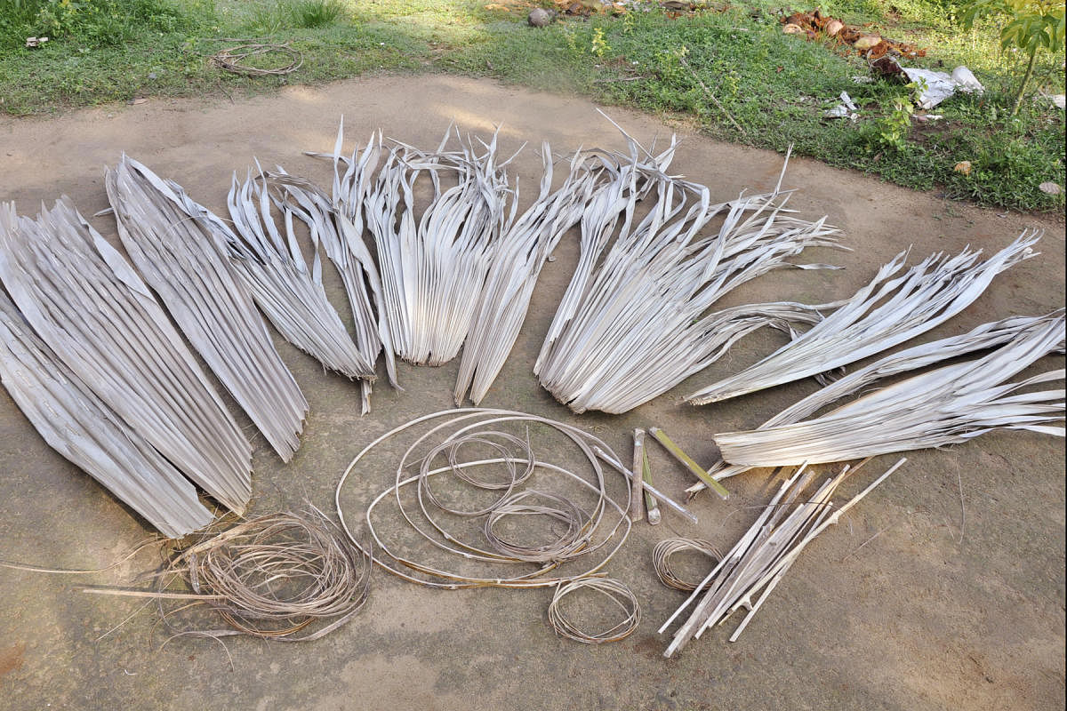 Palm leaves left to dry in the weaving premise.