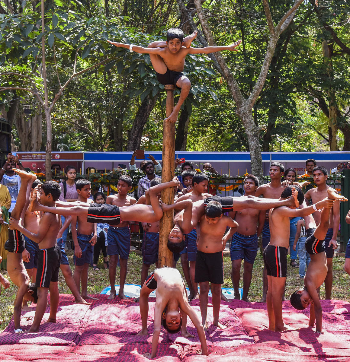 Students of Balamandira Bengaluru performing Mallkamba in ‘Makkala Habba’ as the part of Children’s Day organised by Women and Child welfare department, Horticulture Department in association with various departments at Sri Chamarajendra Park (Cubbo