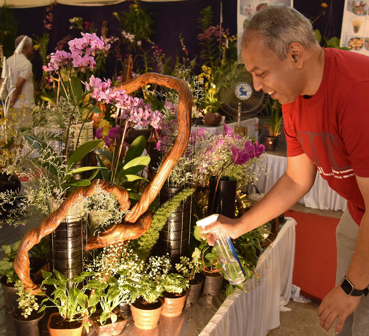 A visitor at the Orchid Show organised by<br />the Orchid Society of Karnataka at Lalbagh on Sunday.