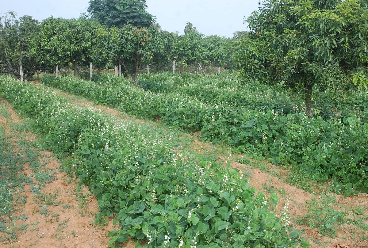 Integrated farming efforts