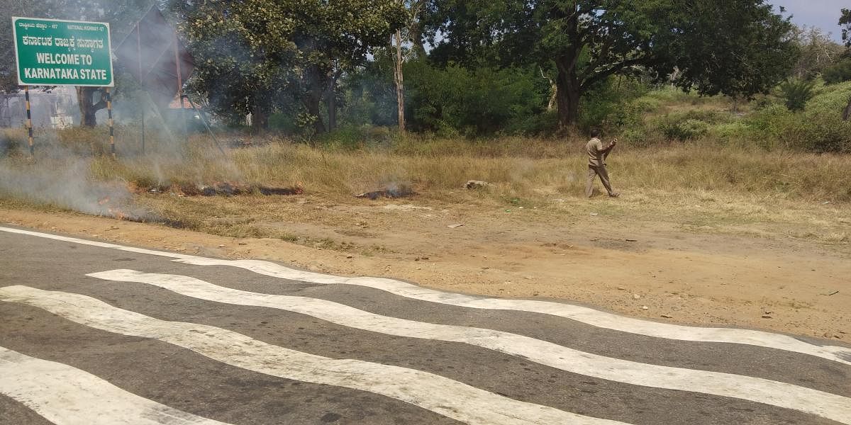 Dry grass and bushes being burnt along the national highway at Bandipur Tiger Reserve.