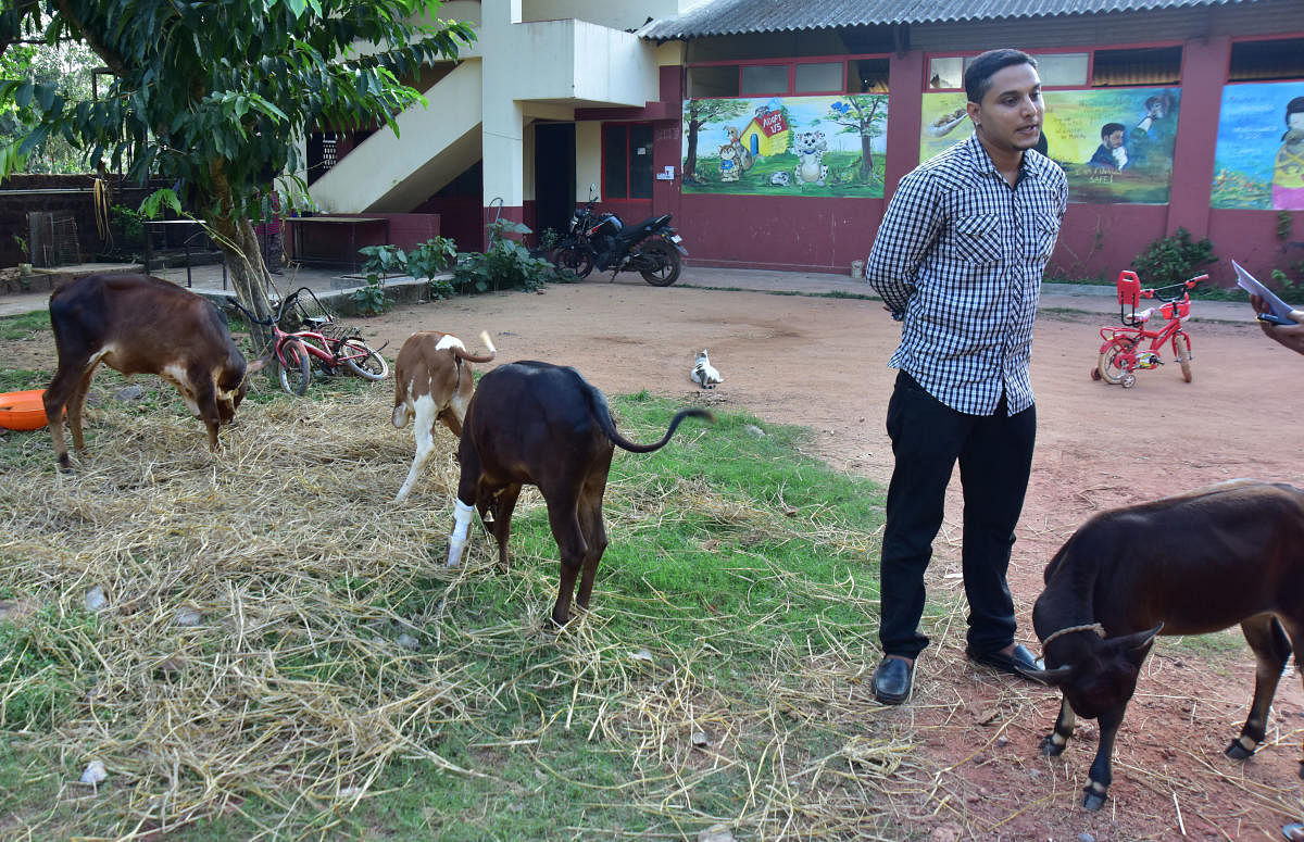 Caring Tauseef Ahmed in the premises of Animal Care Trust - Govindraj Javali