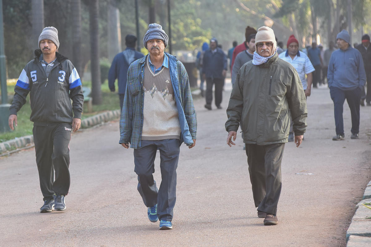 Walkers wear sweater, jacket due to winter season cool weather at Lalbagh in Bengaluru on Thursday. Photo by S K Dinesh