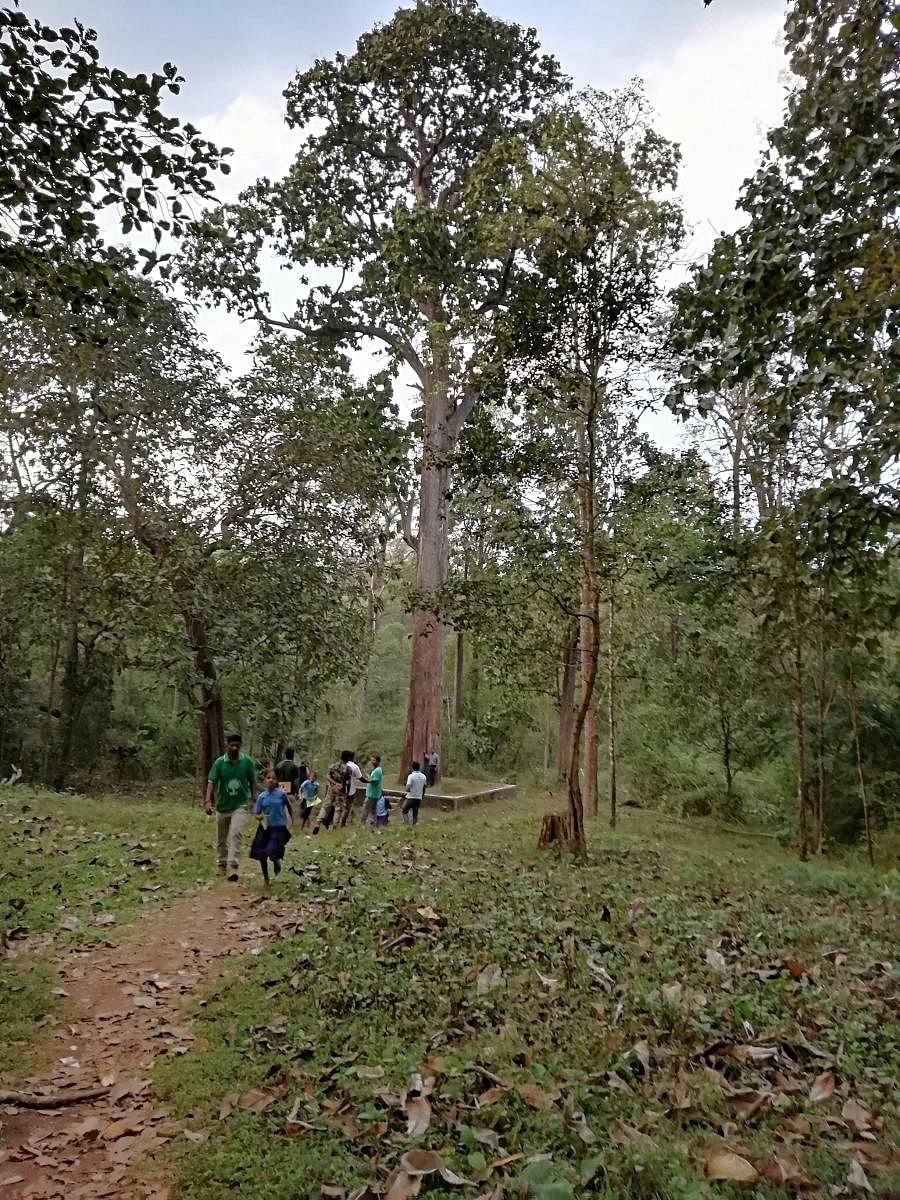 coexistence An anti-poaching camp (above), inhabitants and widlife scenes in the Bhadra Wildlife Sanctuary.