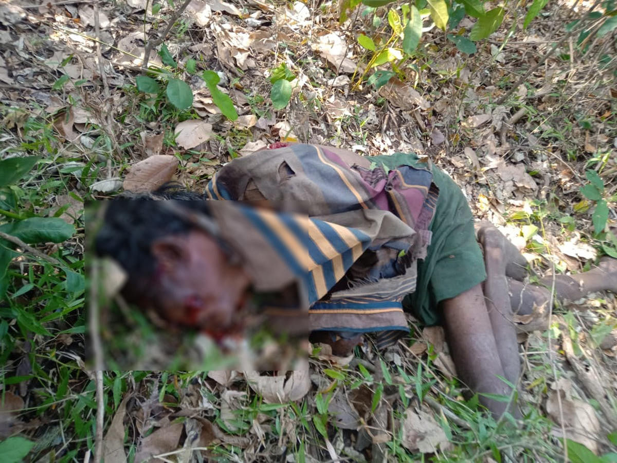 The body of Kencha, who was killed by a tiger at Thimmanahosahalli, under DB Kuppe Grama Panchayat, in HD Kote taluk, Mysuru district, on Thursday.