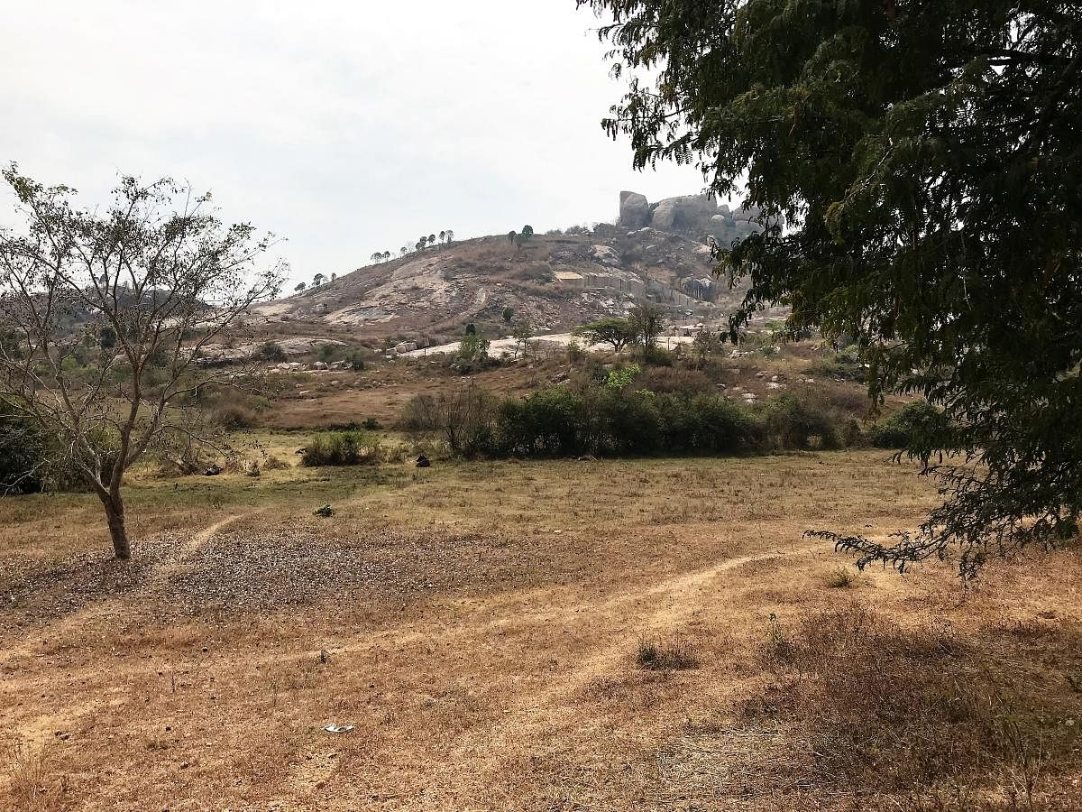 The stony hill at Gattipura, and the field where the furnaces were located in the foreground.