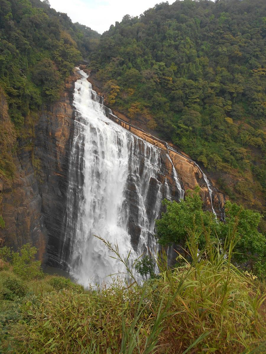 The Unchalli falls in Siddapura, formed by the Aghanashini river.