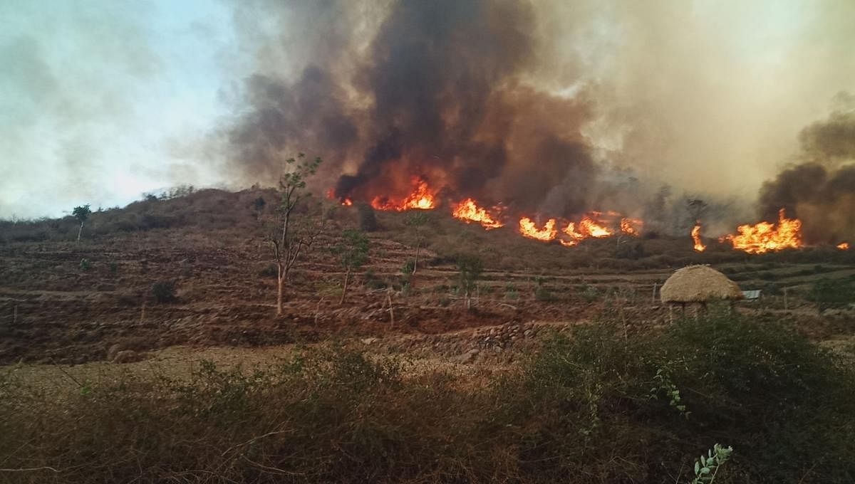 Fire at Boli Betta, under MM Hills Wildlife Sanctuary, in Hanur taluk, Chamarajanagar district.