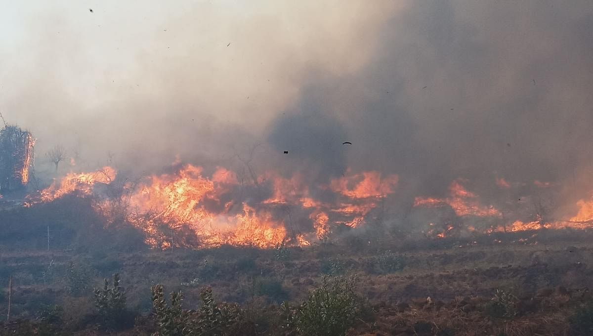 Fire at Boli Betta, under MM Hills Wildlife Sanctuary, in Hanur taluk, Chamarajanagar district.