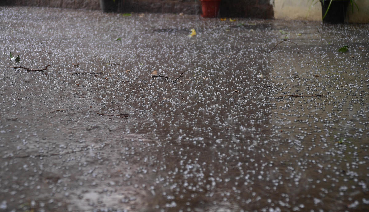 The hailstorm on Friday. DH PHOTO/KRISHNAKUMAR P S