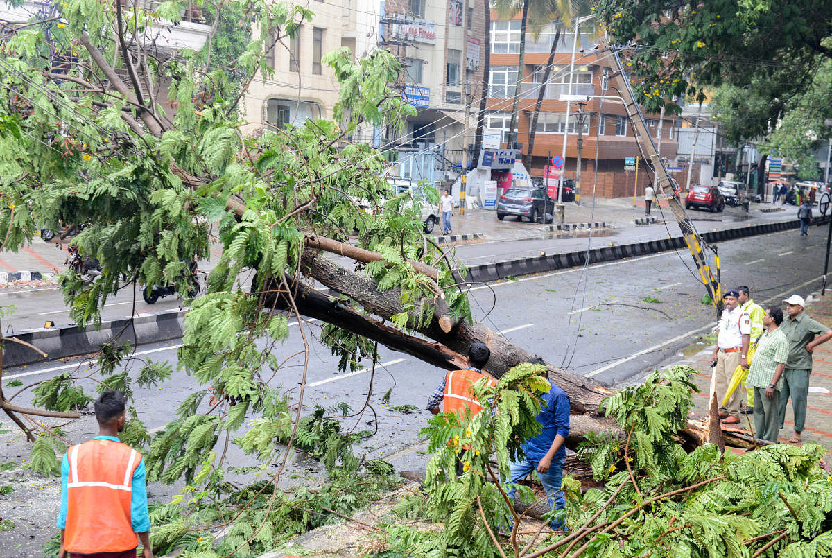 A tree and an electricity pole were uprooted in Jayanagar 7th Block following rainfall in Bengaluru on Friday. 