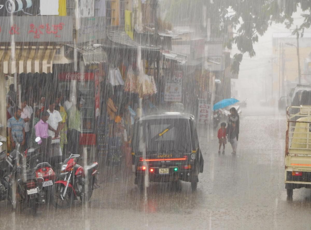 Heavy rain lash Mudigere in Chikkamagaluru district on Tuesday. DH Photo