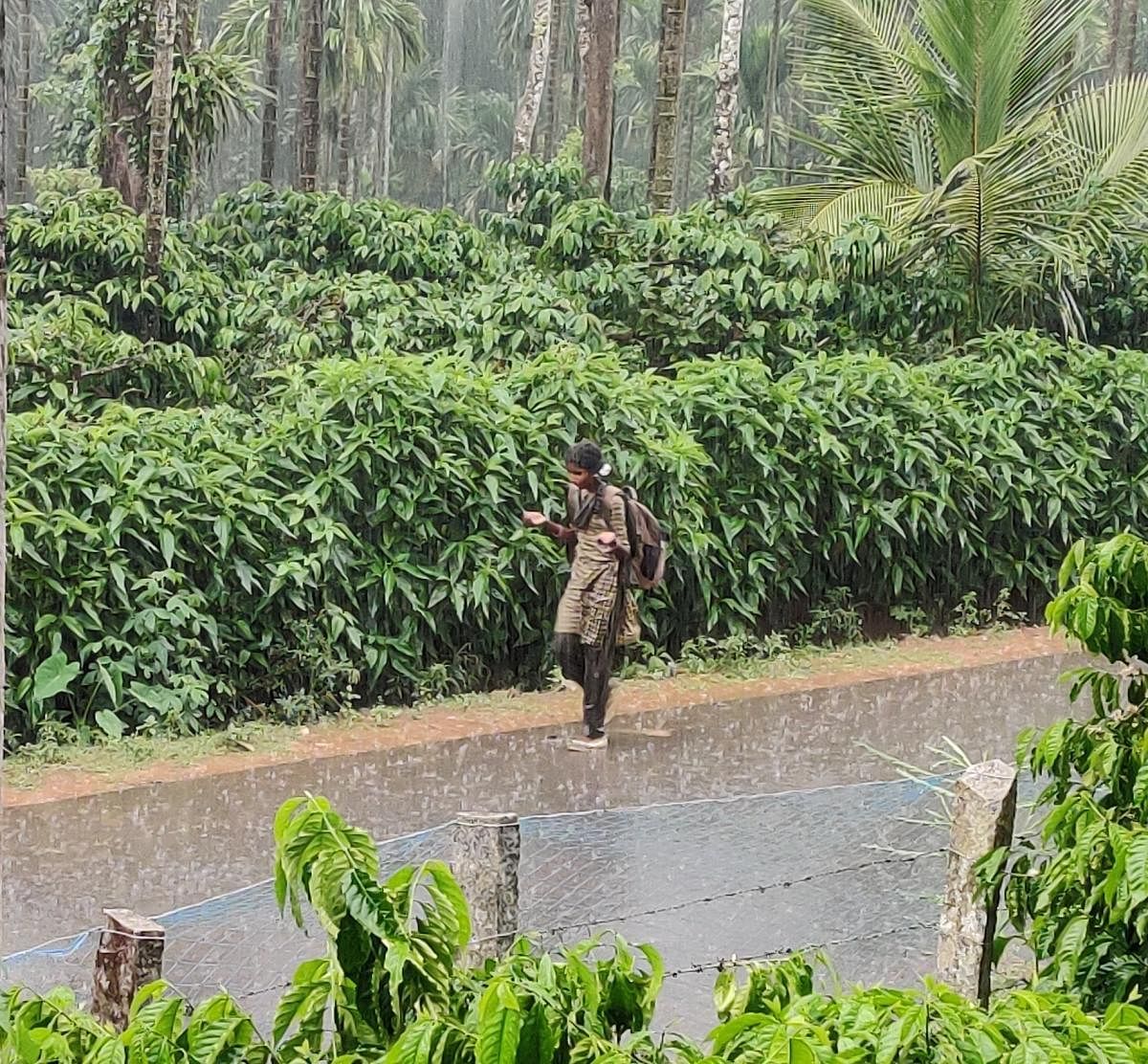 A student enjoys a walk in the rain at Kalasa in Chikkamagalur district on Thursday. DH Photo