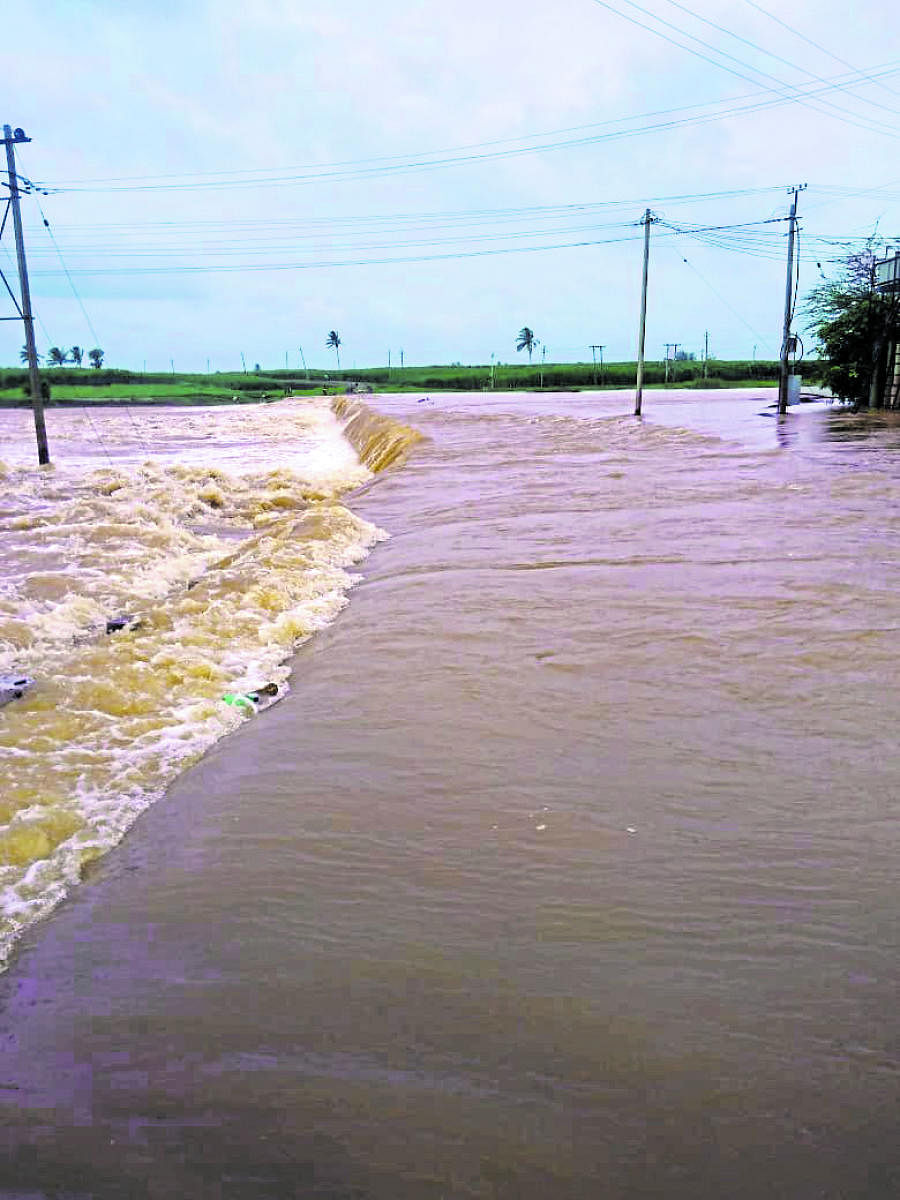An inundated paddy field near Pyatehithlu in Uggehalli village of Mudigere taluk of Chikkamagaluru district as water levels in River Hemavathi increased.