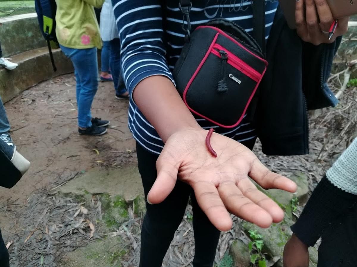 A participant holding an insect.