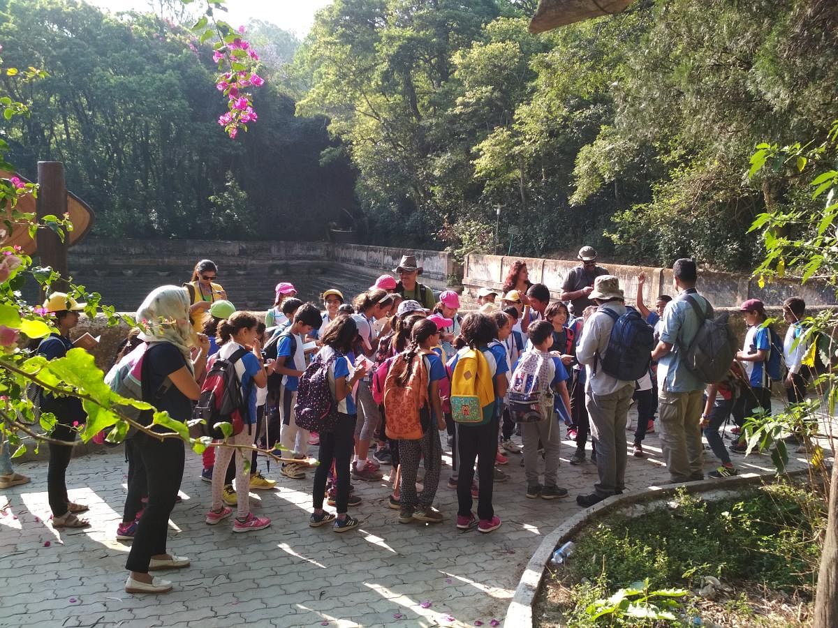 Nature walk organised by EcoEdu at Nandi hills, Bengaluru.