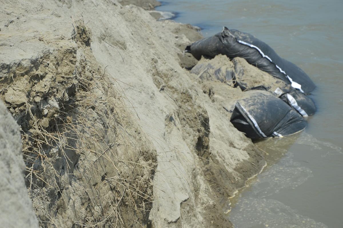 Geo-bags used by Assam government to check erosion in the Brahmaputra in Majuli.