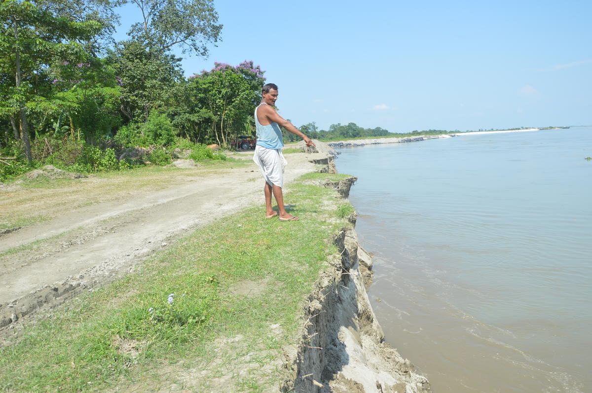 witnessing the decline: Padmadhar Kalita, a farmer in Purani Satra Bamun Gaon village in Majuli, showing the erosion caused by the River Brahmaputra. dh photo by author